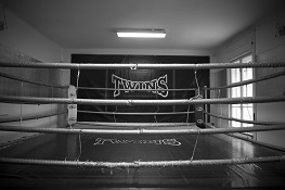 A Twins Gym egyik fő profilja a kick-box edzés tartása