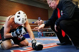 Valkenburg 2013 WKF Kick-boxing Európa-bajnokság, a háttérben Vásony Ferenc